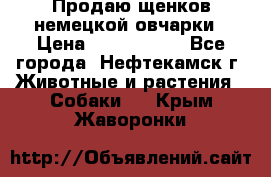 Продаю щенков немецкой овчарки › Цена ­ 5000-6000 - Все города, Нефтекамск г. Животные и растения » Собаки   . Крым,Жаворонки